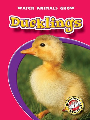 cover image of Ducklings